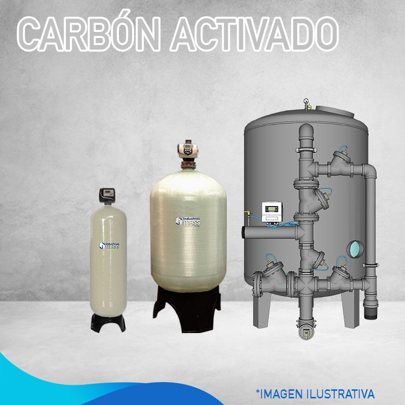 81243-80, FILTRO DE CARBÓN ACTIVADO CAF-36 VALVULA/WS2H MT