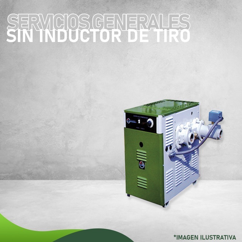 MMS-100 EI - Calentadores de Servicios generales - Masstercal - SIN INDUCTOR DE TIRO