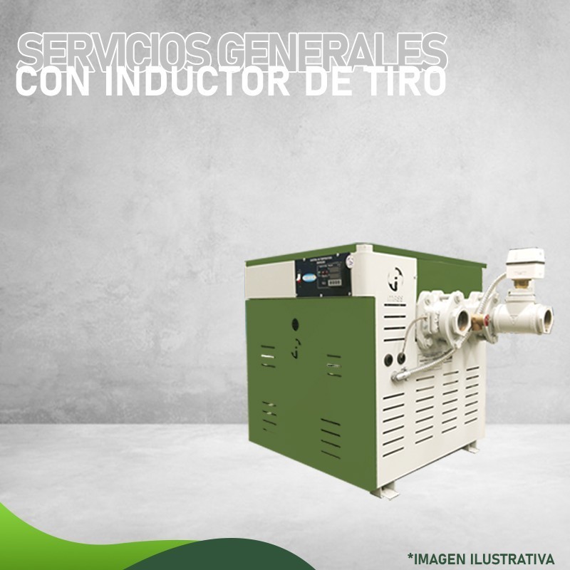 MMS-300 EI-D - Calentadores de Servicios generales - Masstercal - CON INDUCTOR DE TIRO